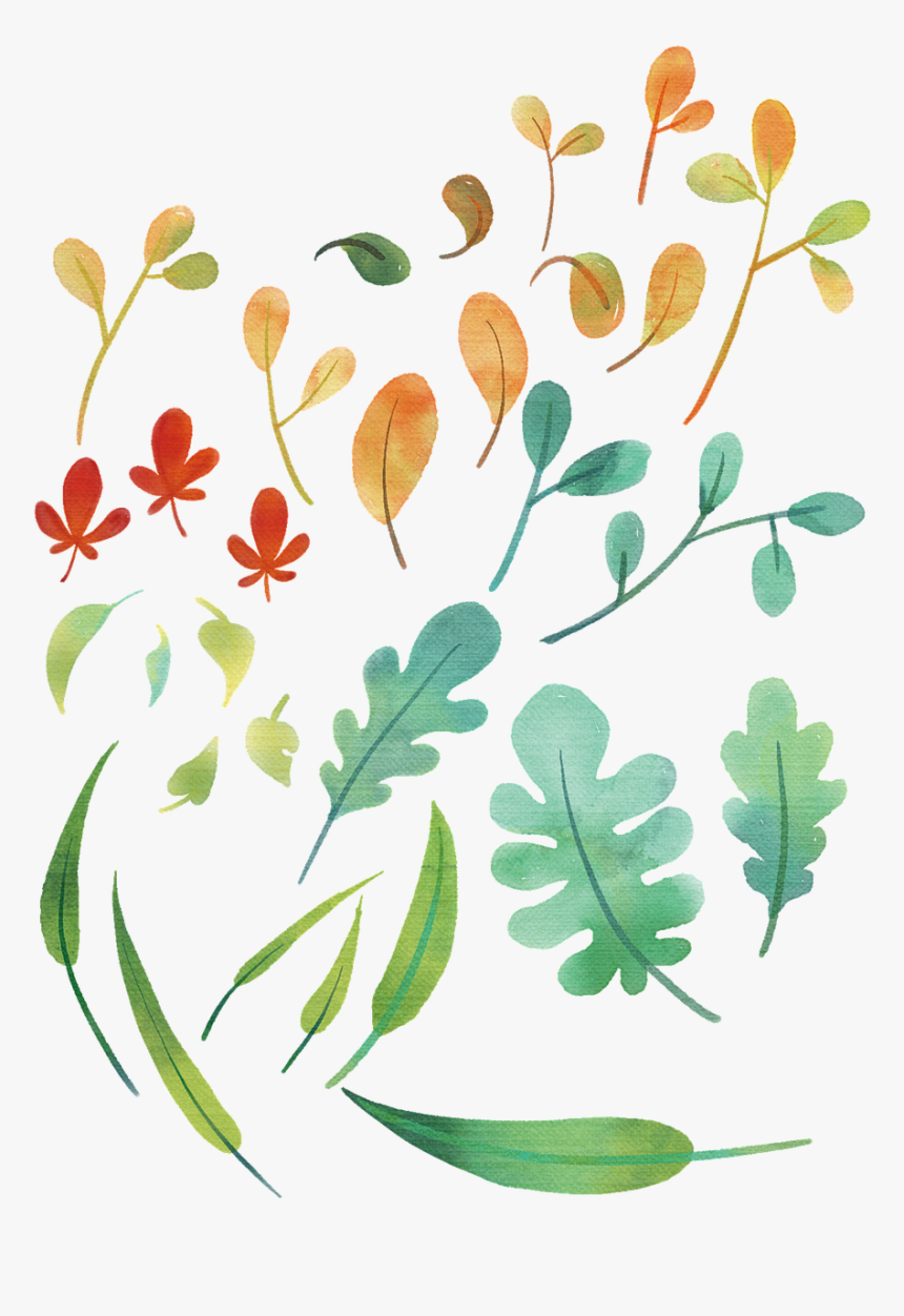 Plants The Leaves Leaves Free Photo - Floral Design, HD Png Download, Free Download