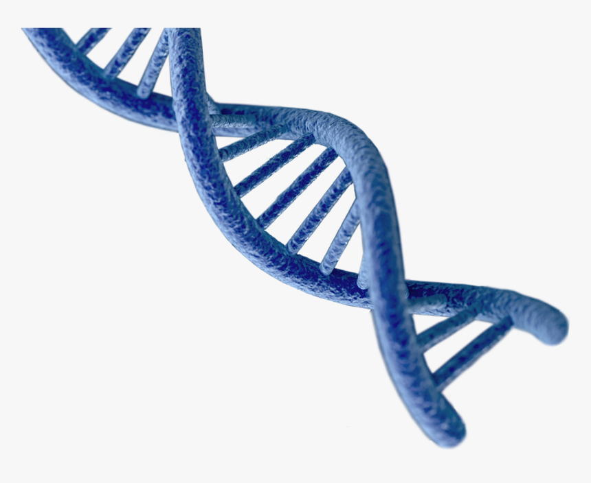 Emblem, HD Png Download, Free Download