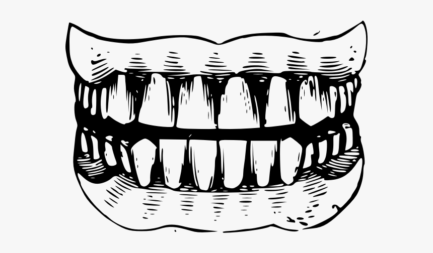 Gritted Teeth Black And White Vector Illustration - Teeth Clipart Black And White Png, Transparent Png, Free Download