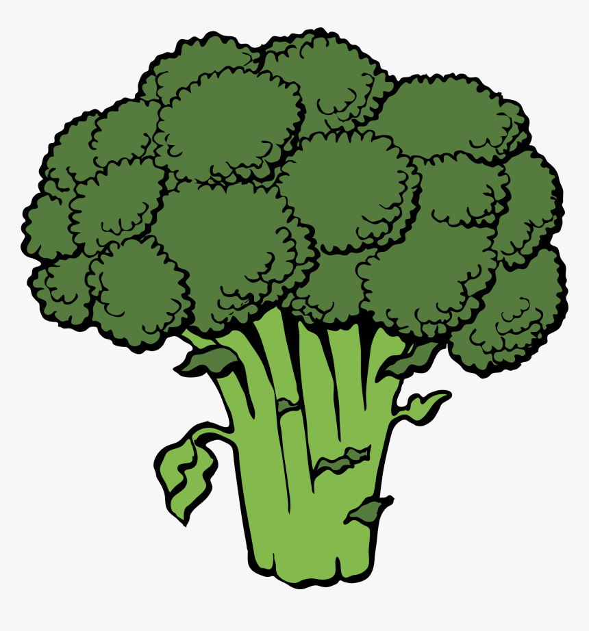 5 Foods Superheroes Eat - Broccoli Clip Art, HD Png Download, Free Download