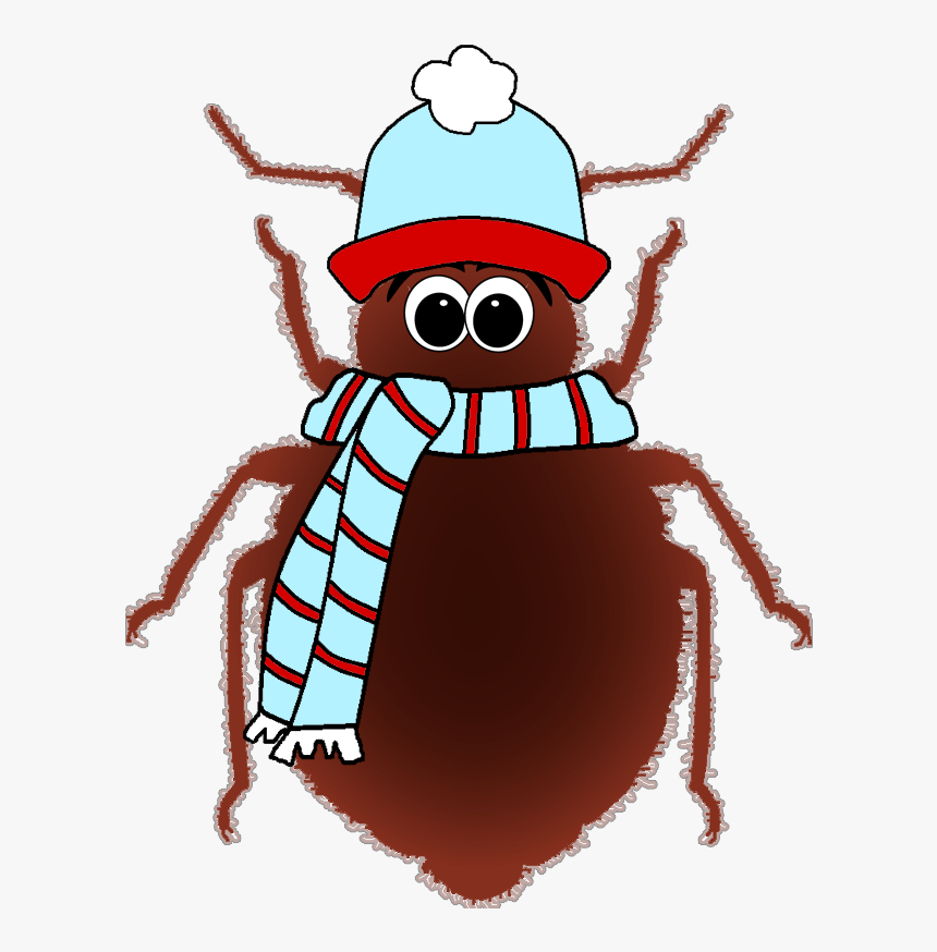 Freezing Cold Image - Cold Bug, HD Png Download, Free Download