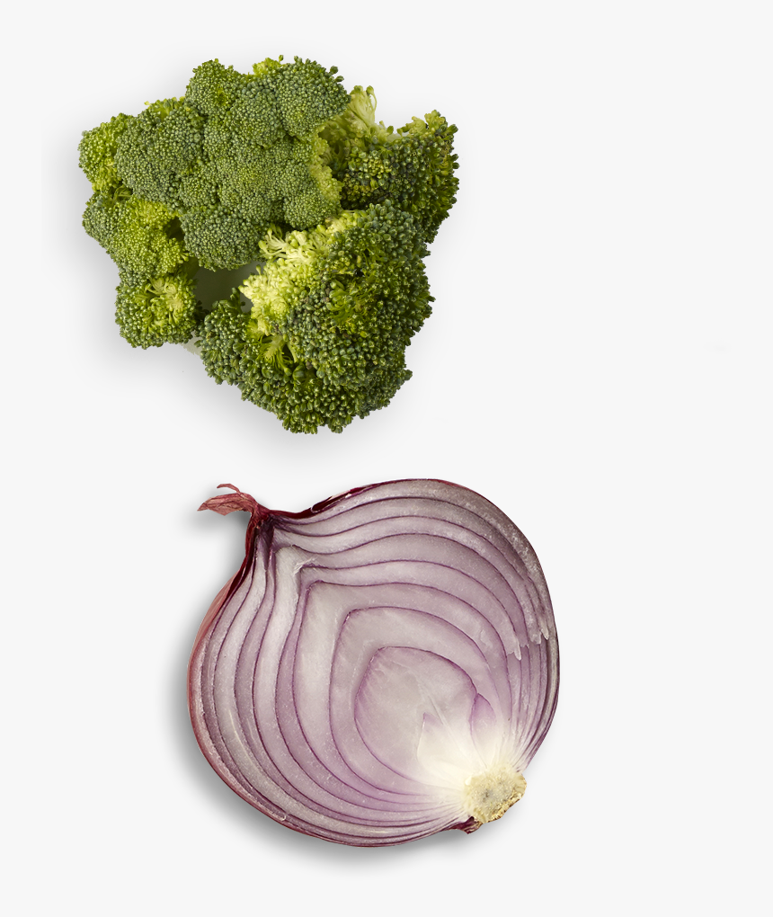 Onion Top View Png, Transparent Png, Free Download
