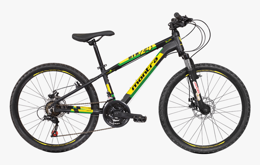 kona stinky 2017