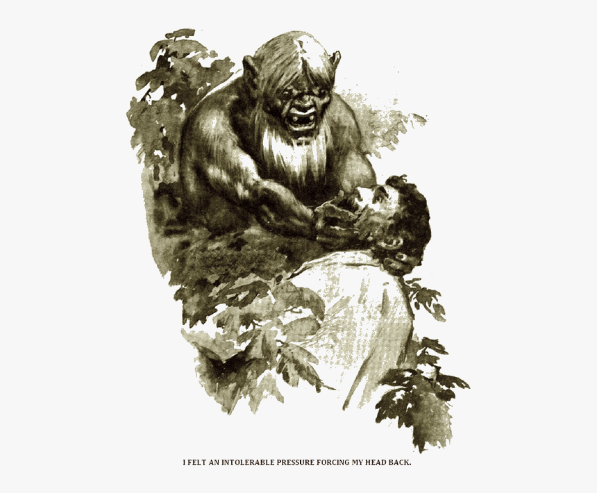 - 20% - Float - Left - Ape Victorian Illustration, HD Png Download, Free Download