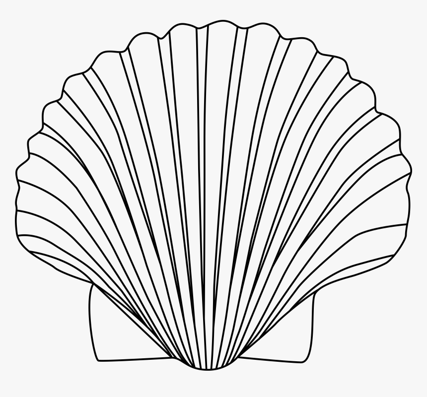 Bivalve Png Buttons Pinterest - Shell Clipart Black And White, Transparent Png, Free Download
