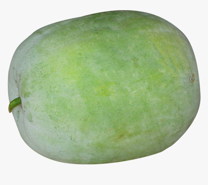 Winter Melon Png Image - Ash Gourd Png, Transparent Png, Free Download