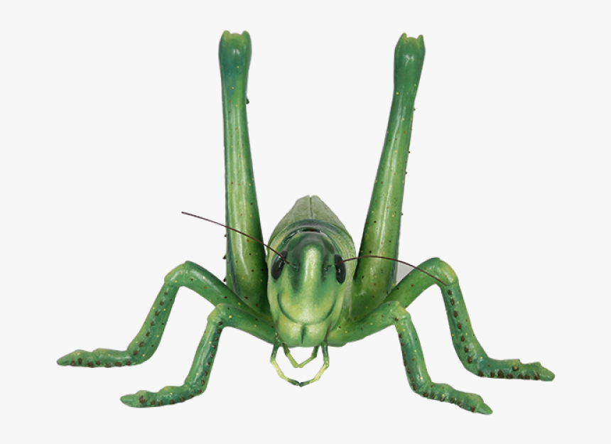 Grasshopper Png Image - Portable Network Graphics, Transparent Png, Free Download