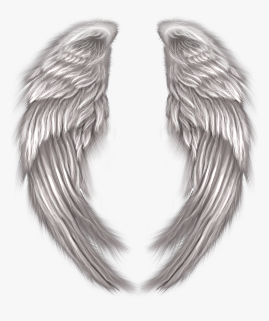 Asas De Anjo Png Fundo Transparente, Png Download, Free Download