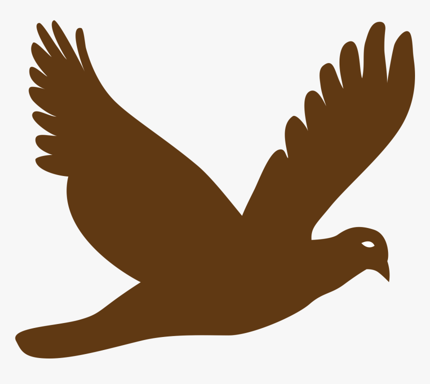 Transparent Vulture Silhouette Clip Art - Flying Bird Png Vector, Png Download, Free Download