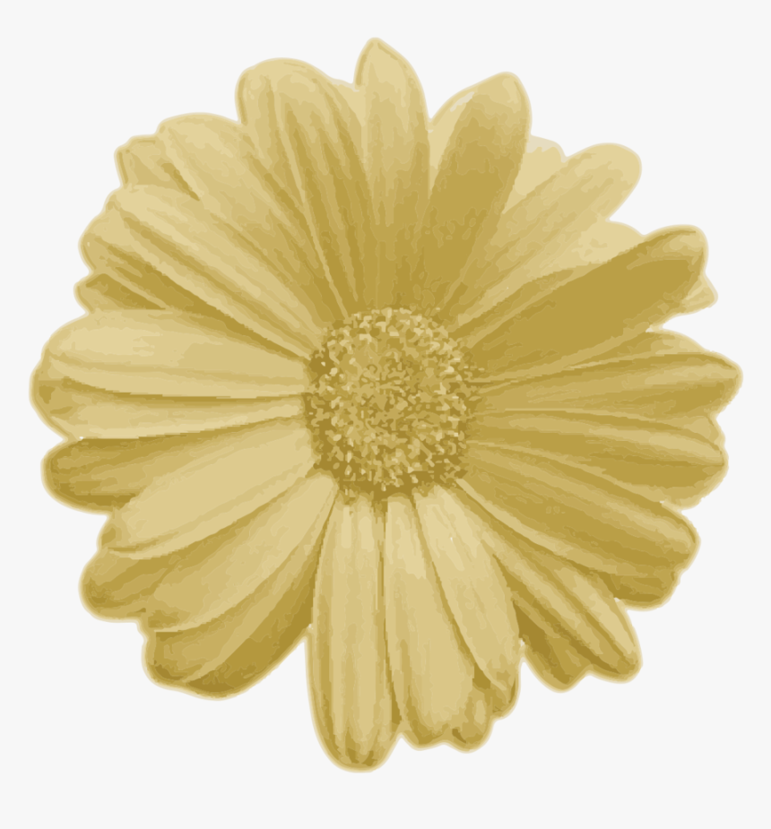Real Flower Png , Png Download - Png Real Flower, Transparent Png, Free Download