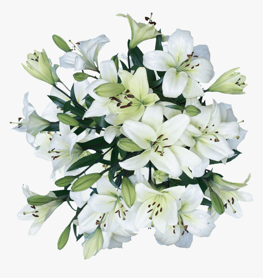 White Lilies Asiatic Lily Flowers Cheap Real Flowers - Bouquet, HD Png Download, Free Download