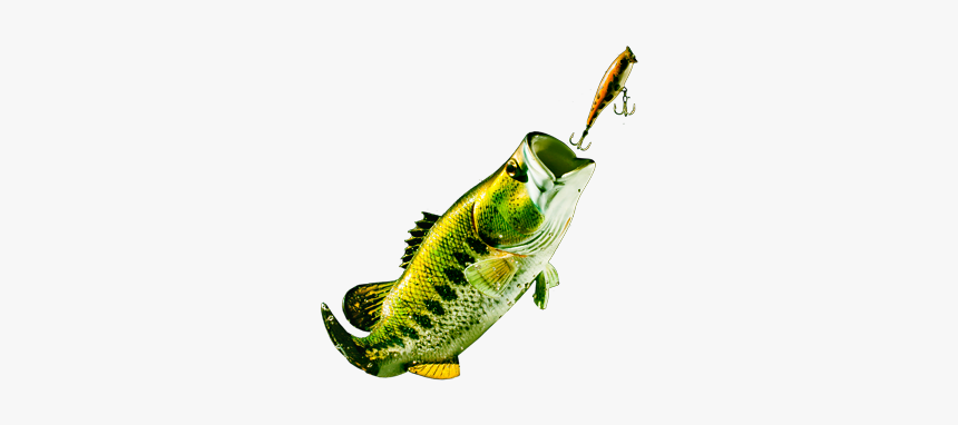 Masters Of Longform Si - Bass Fish Youtube Banner, HD Png Download, Free Download