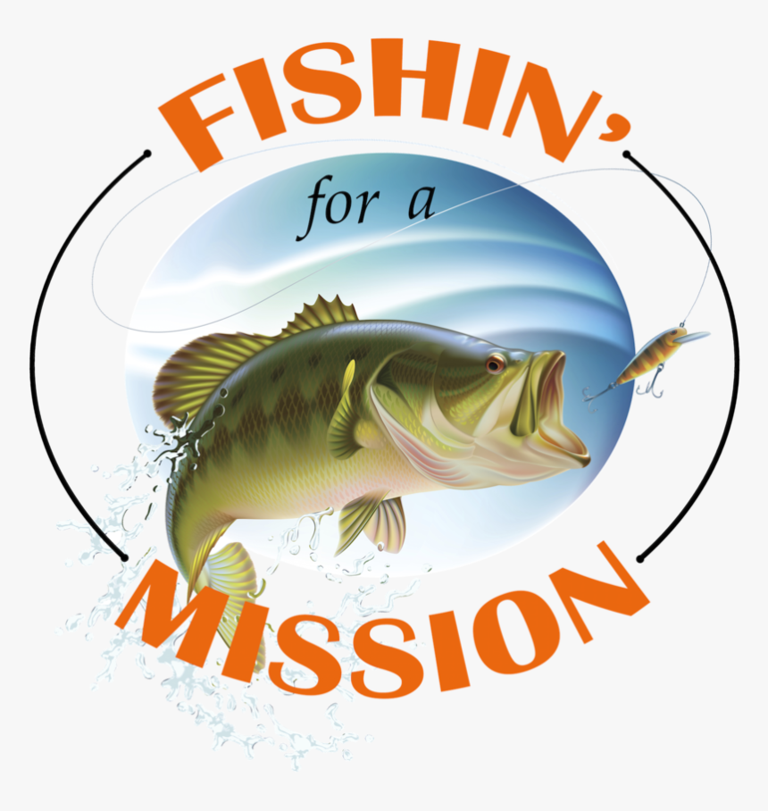 Bass Fishing Tournament - Bass, HD Png Download, Free Download