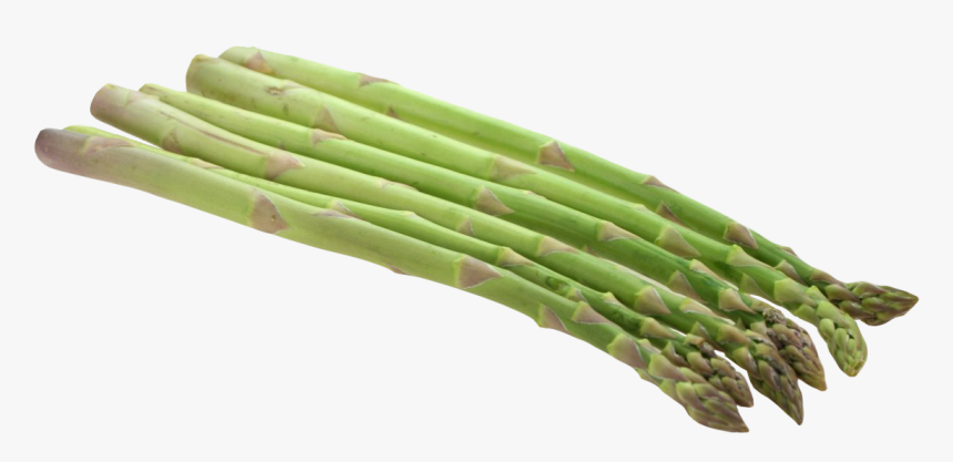 Asparagus Png, Transparent Png, Free Download