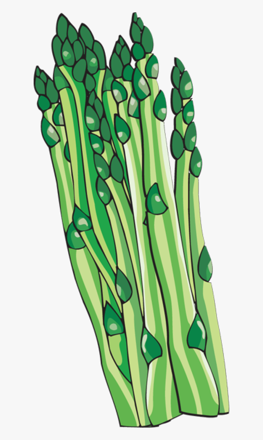 Asparagus Clip Art - Asparagus Clipart Transparent Background, HD Png Download, Free Download