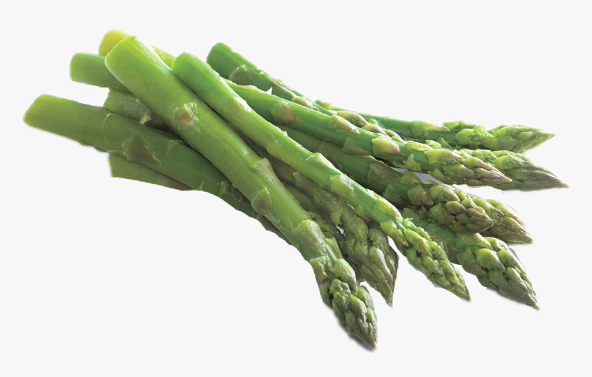 #asparagus - Garden Asparagus, HD Png Download, Free Download