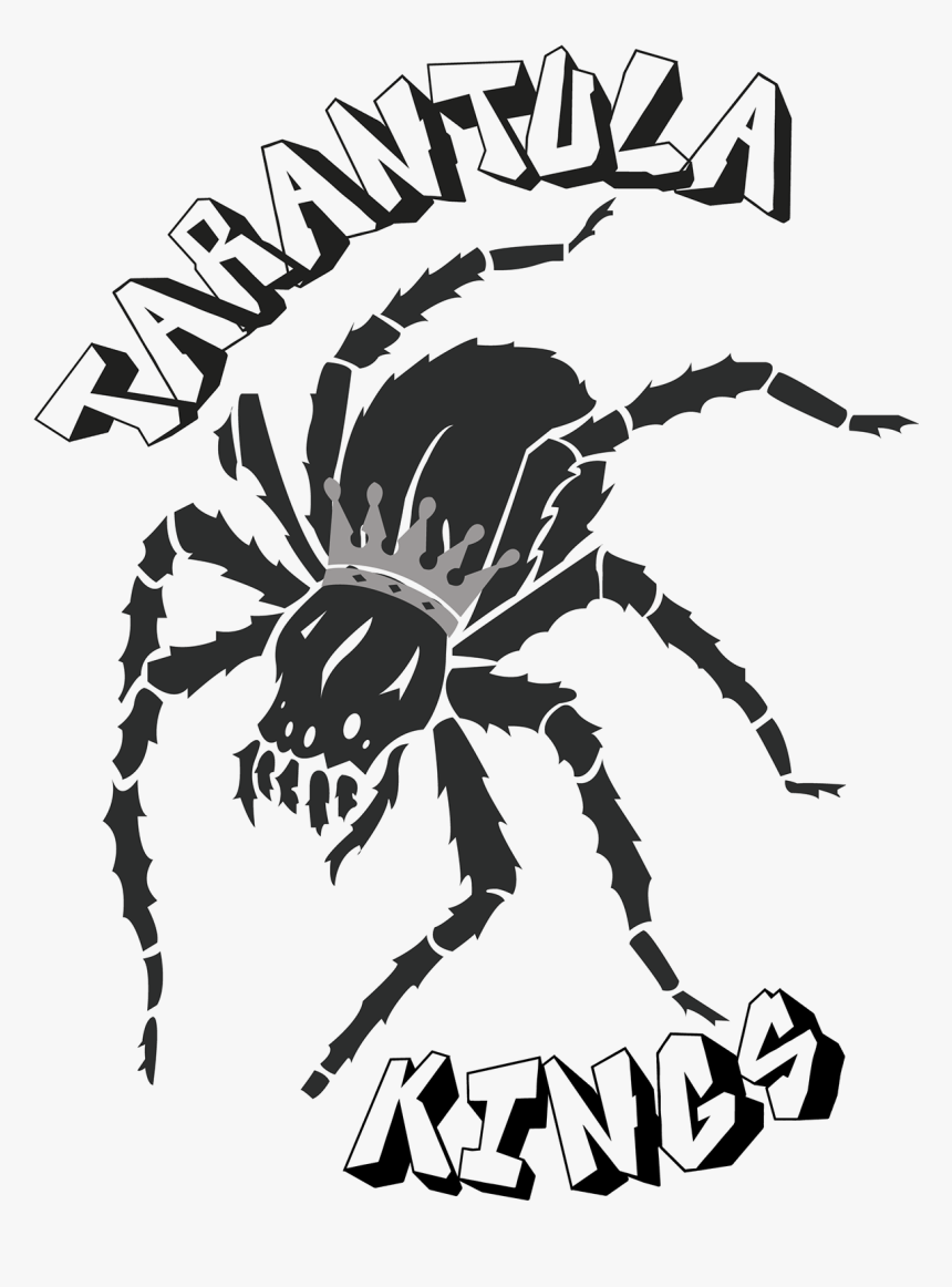 Plantilla Araña Halloween Para Torta, HD Png Download, Free Download