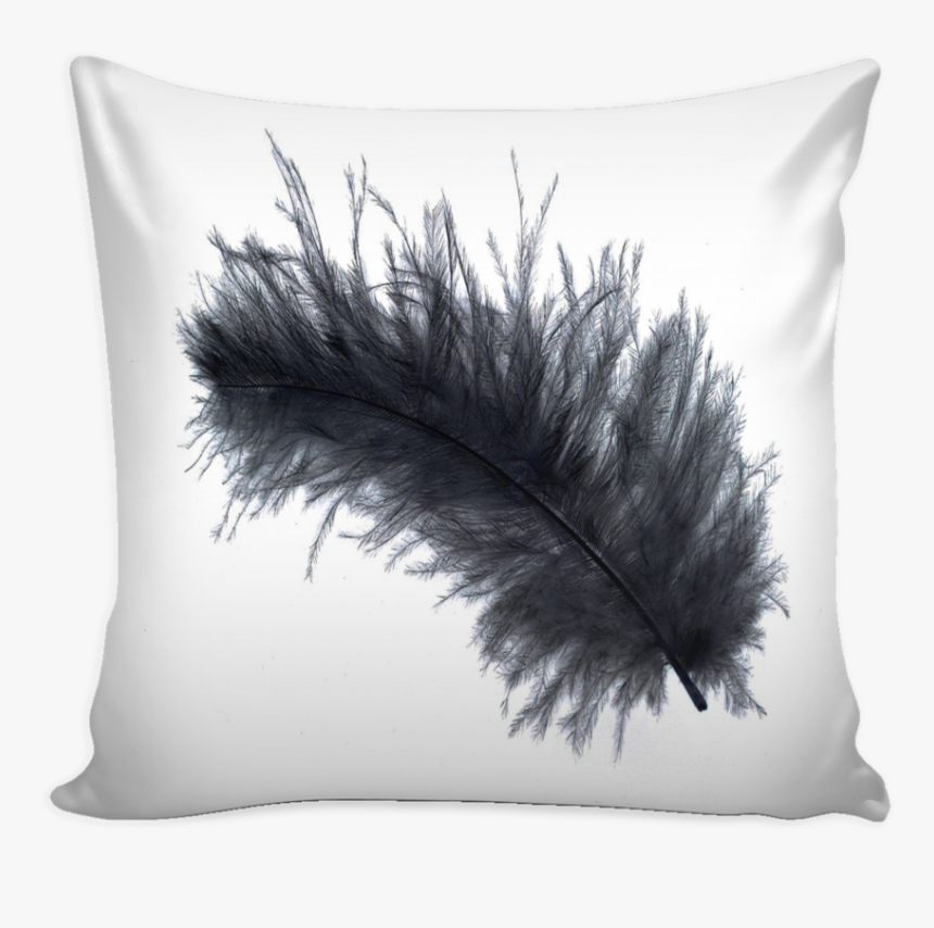 Black Feather, Pillow Cover - Best Thought For Wife, HD Png Download, Free Download