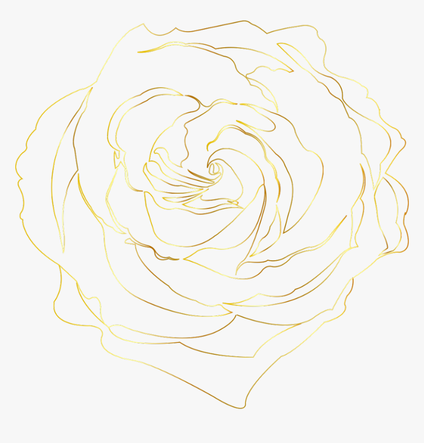 #goldrose #rose #gold #goldlines #flower #decor #background - Floribunda, HD Png Download, Free Download