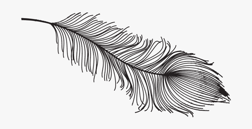 Vintage Black And White Feather Png, Transparent Png, Free Download