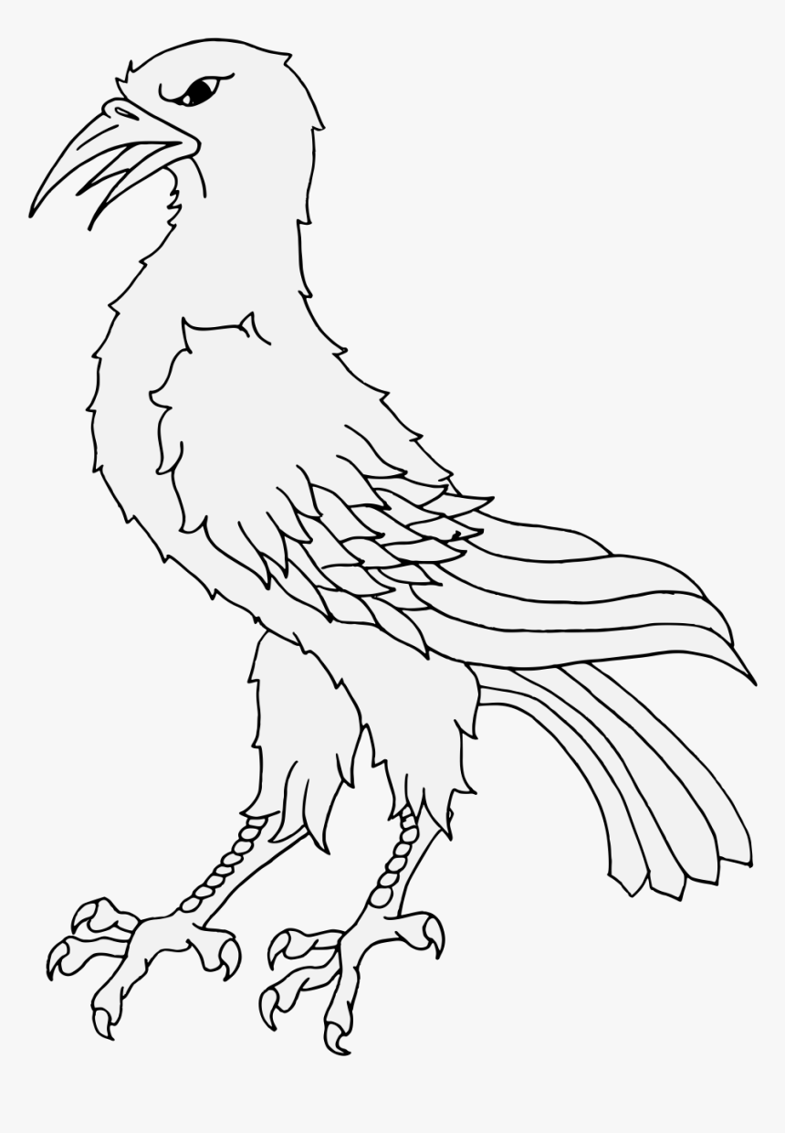 Transparent Raven Feather Png - Bird Of Prey, Png Download, Free Download