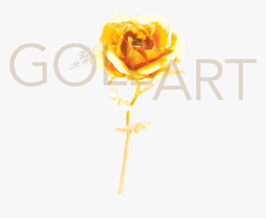 Garden Roses , Png Download - Garden Roses, Transparent Png, Free Download