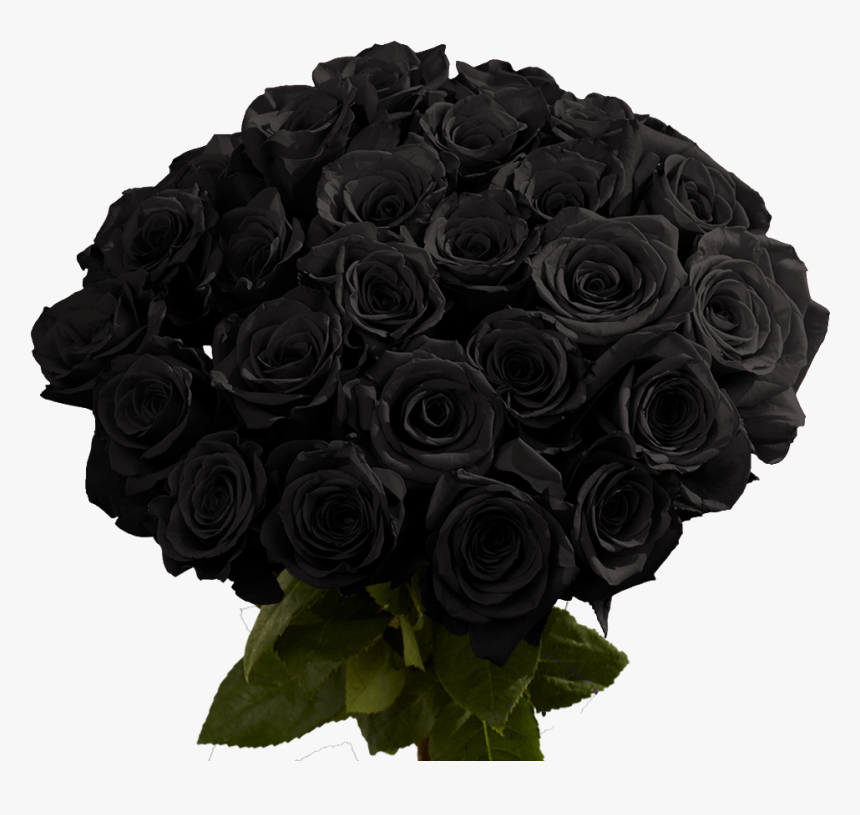 Online Black Roses For Sale - Red Rose Flower, HD Png Download, Free Download