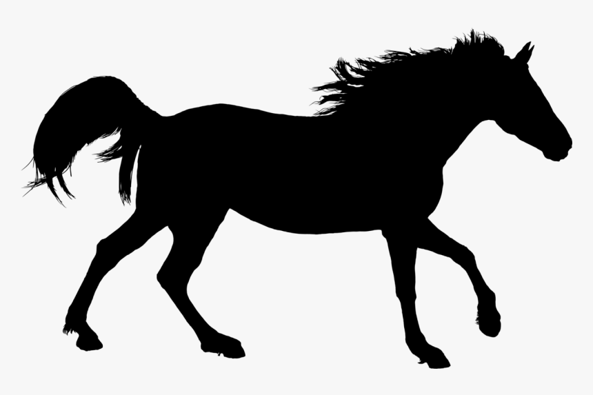 Mare,horse,silhouette - Paint Horse Silhouette, HD Png Download, Free Download