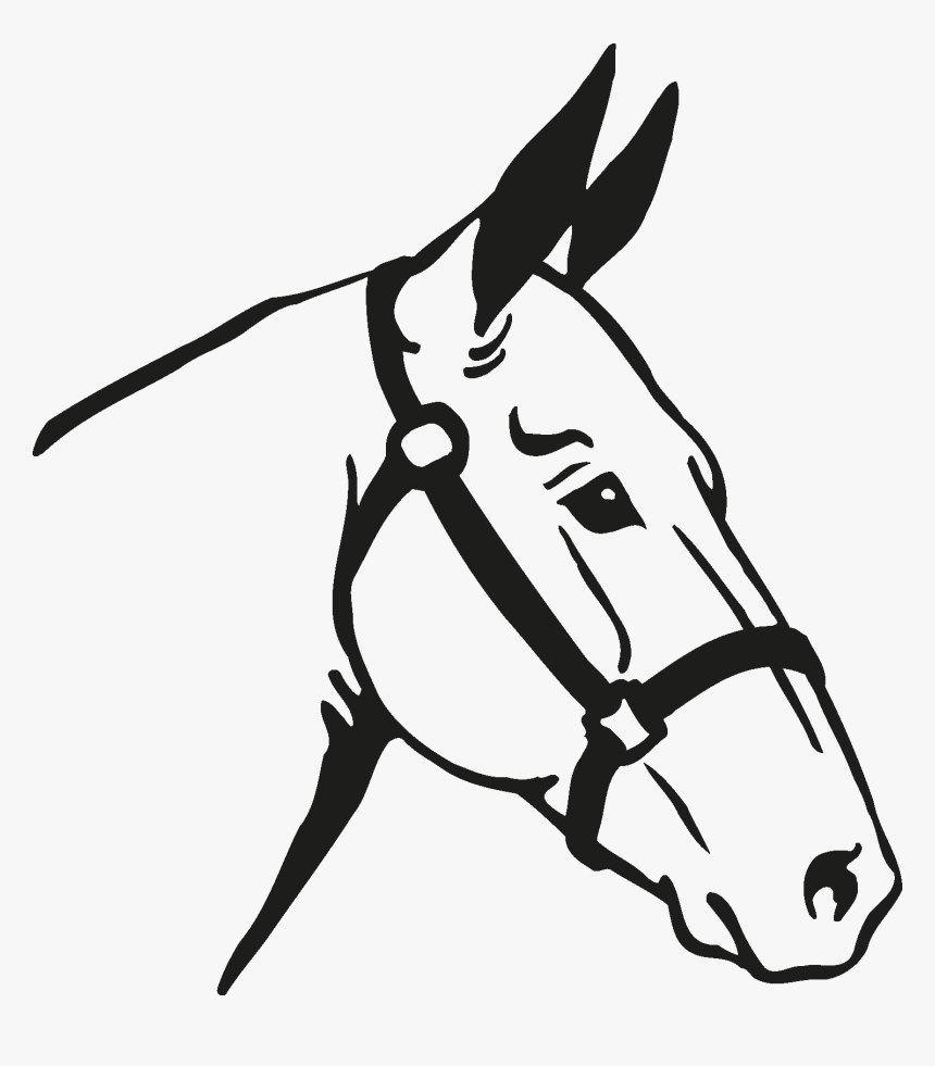 Horse Head Silhouette Png - Horse Vector, Transparent Png, Free Download