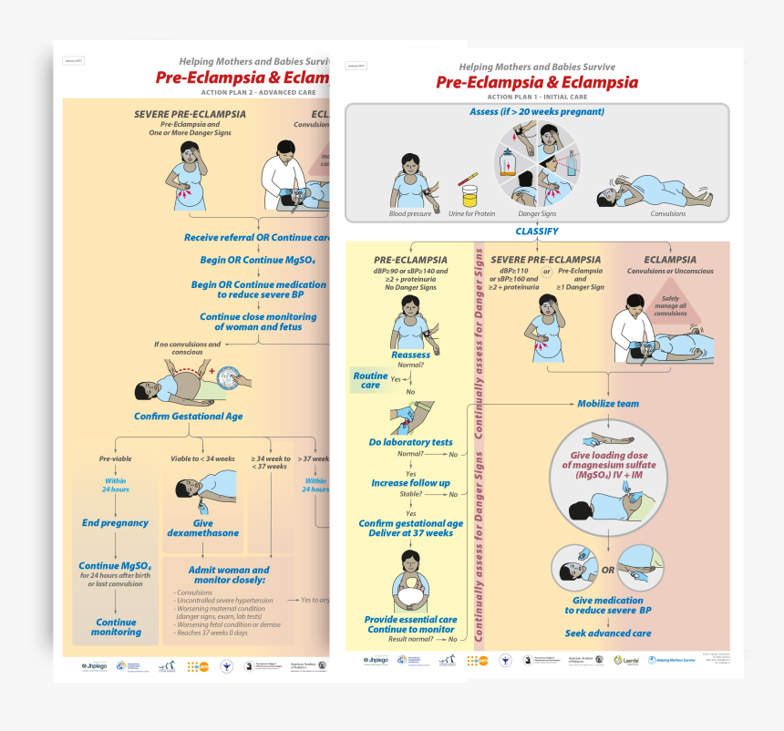 Helping Mothers Survive Preeclampsia, HD Png Download, Free Download