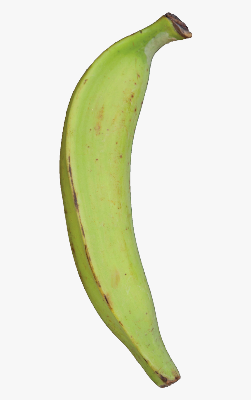 Plantain Green Raw Dirt - Plantains Png, Transparent Png, Free Download