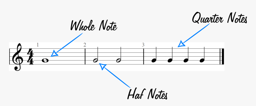Whole Notes, Half Notes And Quarter Notes Example Graphic - Treble Clef, HD Png Download, Free Download