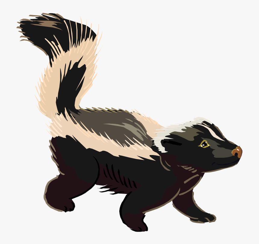 Download This High Resolution Skunk Transparent Png - Skunk Clip Art, Png Download, Free Download