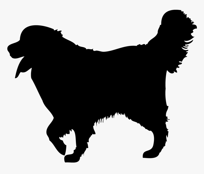 Companion Dog, HD Png Download, Free Download