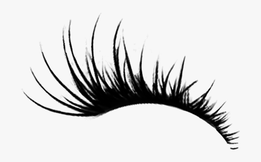 #eye #eyes #eyelashes #eyelash #eyeliner #ftestickers - Transparent Background Eyelashes Png, Png Download, Free Download