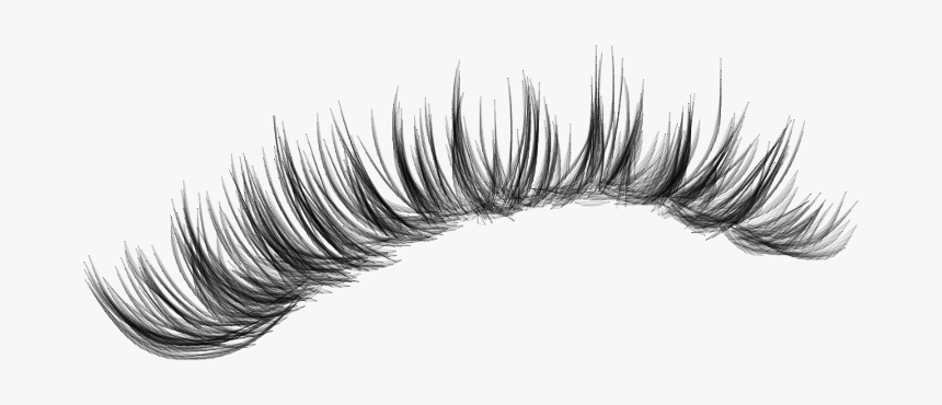 #lashes #makeup #lash #eyelashes #eyeliner #fakelashes - Long Eyelashes For Editing, HD Png Download, Free Download