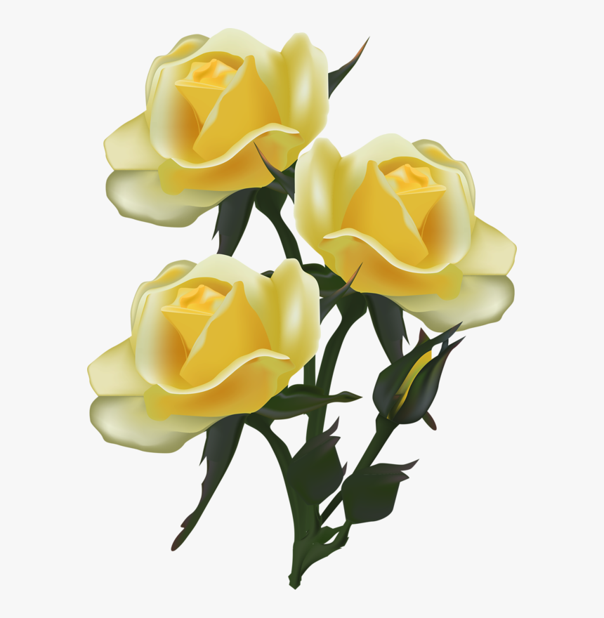 Transparent Yellow Rose Clipart - Painted Images Of Yellow Roses, HD Png Download, Free Download