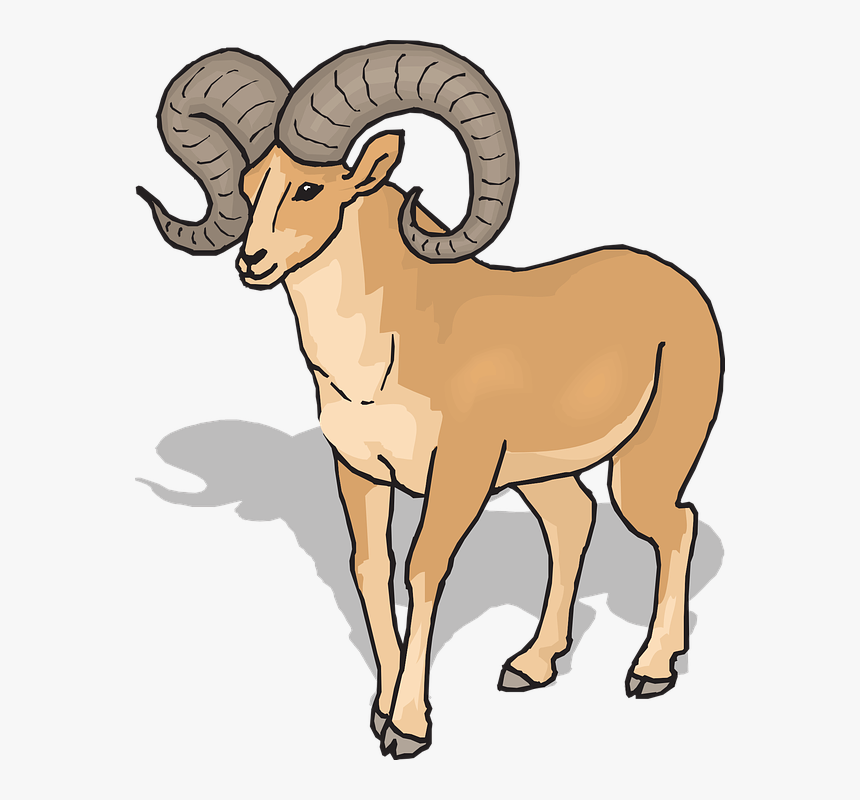 Animal Free Download Best - Ram Clipart, HD Png Download, Free Download