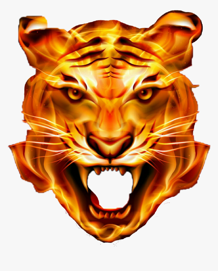 Lion Tiger Fire - Angry Tiger Face Png, Transparent Png, Free Download