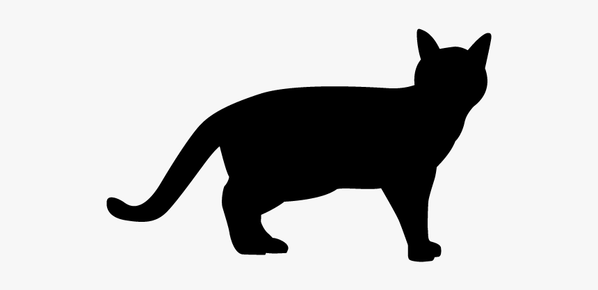 Ferret Cat Panther - Ferrettt Decal, HD Png Download, Free Download