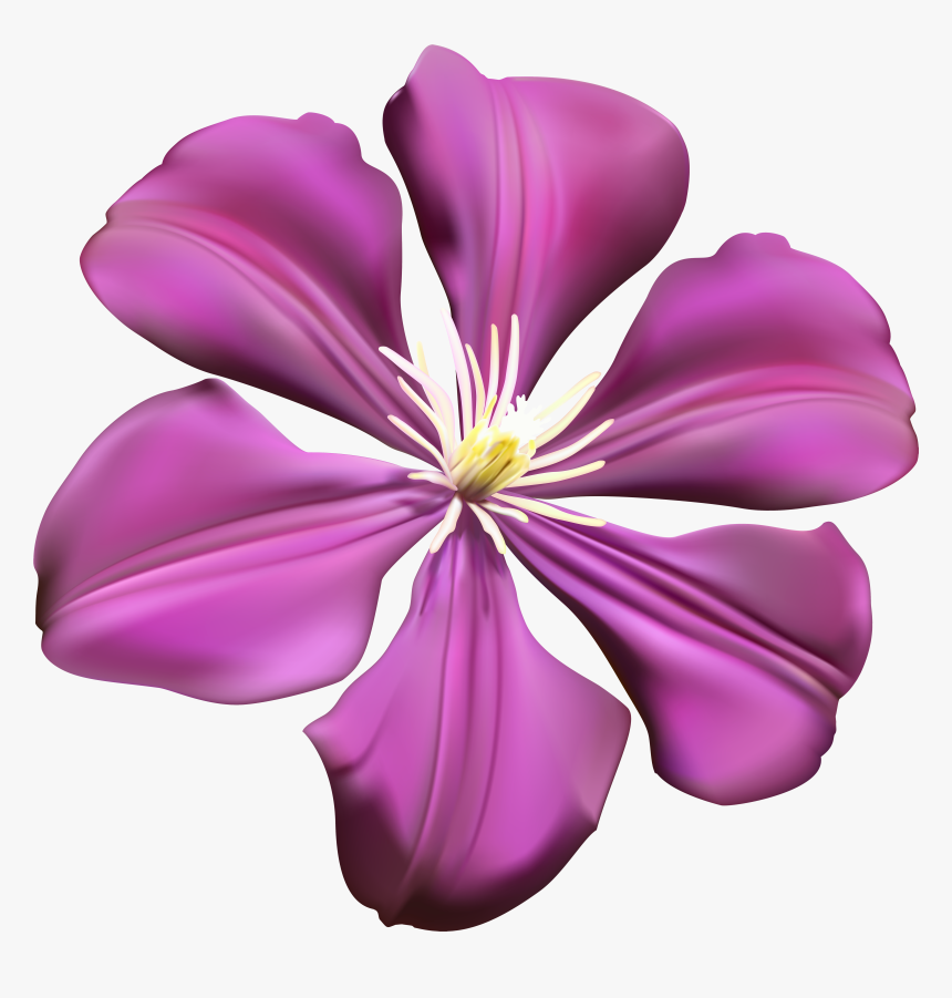 Purple Flower Transparent Png Clip Art Image Png Download - Purple Transparent Background Clipart Flowers, Png Download, Free Download