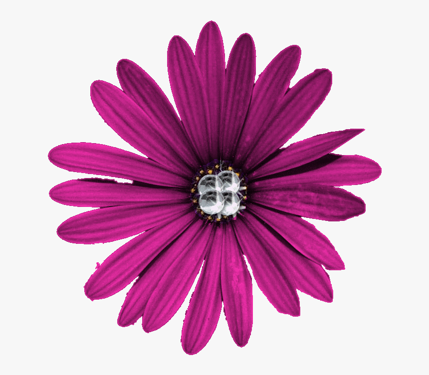 Purple Flower Png - Portable Network Graphics, Transparent Png, Free Download