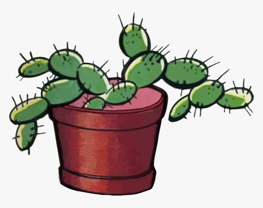 Cactus, HD Png Download, Free Download