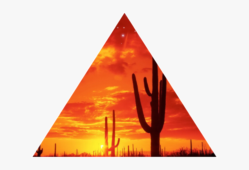 #cactus🌵 #arizonasunset #freetoedit - Saguaro National Park, HD Png Download, Free Download