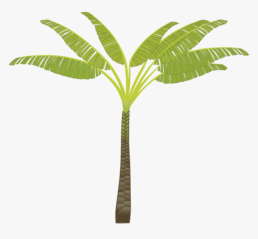 Banana Tree Cartoon Transparent, HD Png Download, Free Download