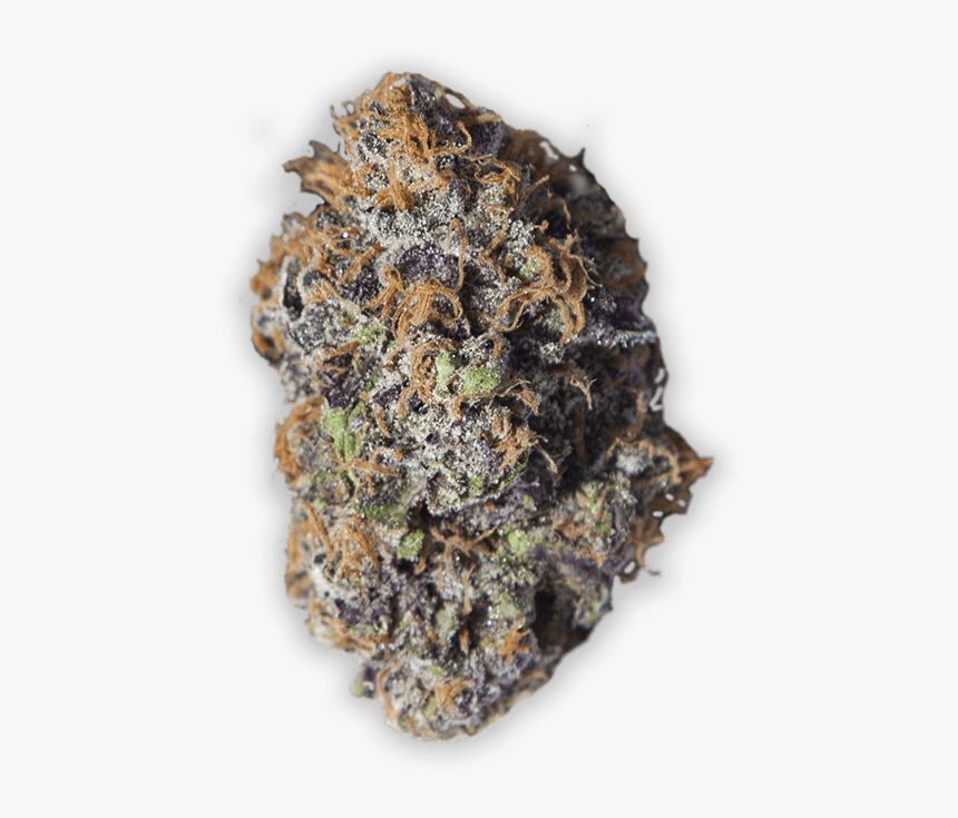 Grandaddy Purple Cannabis In Reno - Fruit, HD Png Download, Free Download