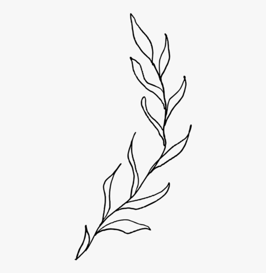 #freetoedit #leaves #leaf #tree #nature #bush #bushes - Aesthetic Leaves Drawing, HD Png Download, Free Download