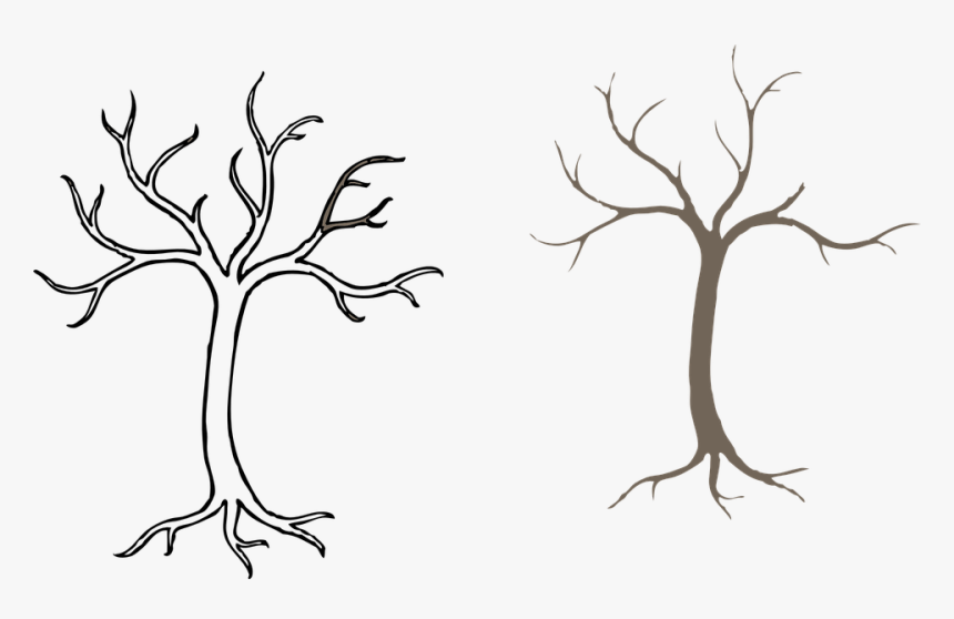 Featured image of post Neem Tree Drawing For Kids Easy : The logiclike team collected simple and exciting riddles for your kids, math questions, and funny riddles.