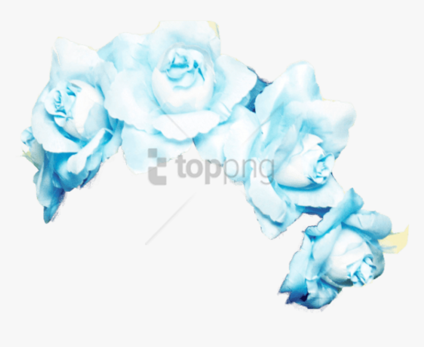 Transparent Pink Flower Crown Png - Transparent Blue Flower Crown Png, Png Download, Free Download
