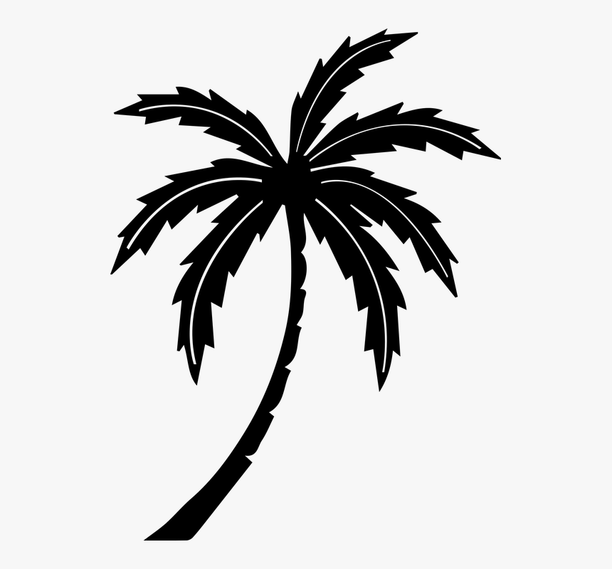 Black Palm Tree Png, Transparent Png, Free Download